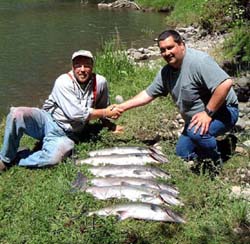 McKenzie River Spring Chinook, nice weather and BIG FISH! 